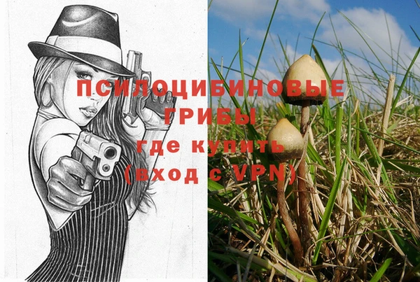 синтетический гашиш Новозыбков