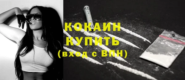 альфа пвп Новодвинск