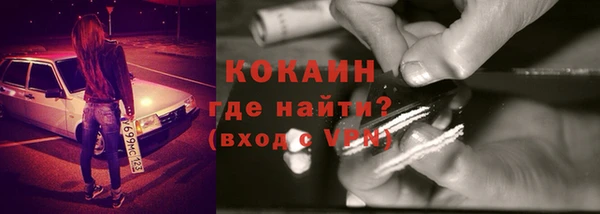 PSILOCYBIN Бородино