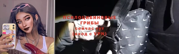 альфа пвп Новодвинск