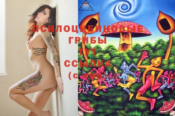 синтетический гашиш Новозыбков